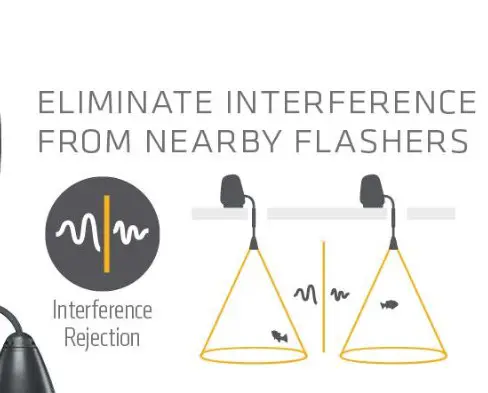 Interference Rejection Technology Flasher