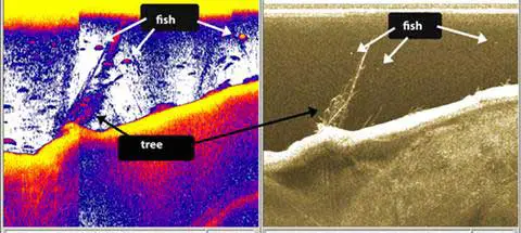Lowrance-fish-finder-downscan-vs-sonar-2D