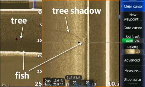 Understanding-Down-Scan-Trees